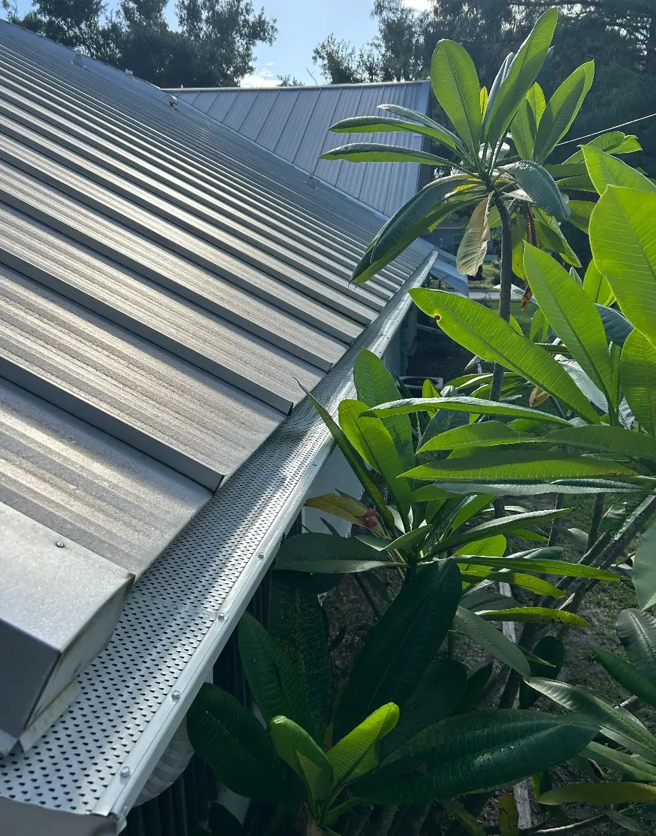 Leaf Protection on Metal Roof